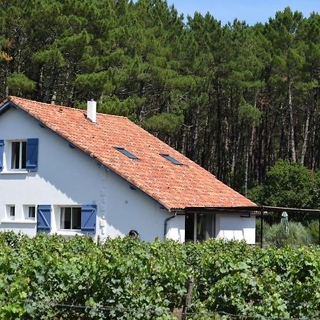 Evasion Cotiere Tranquillite Entre Foret Et Ocean Vielle-Saint-Girons Exterior photo