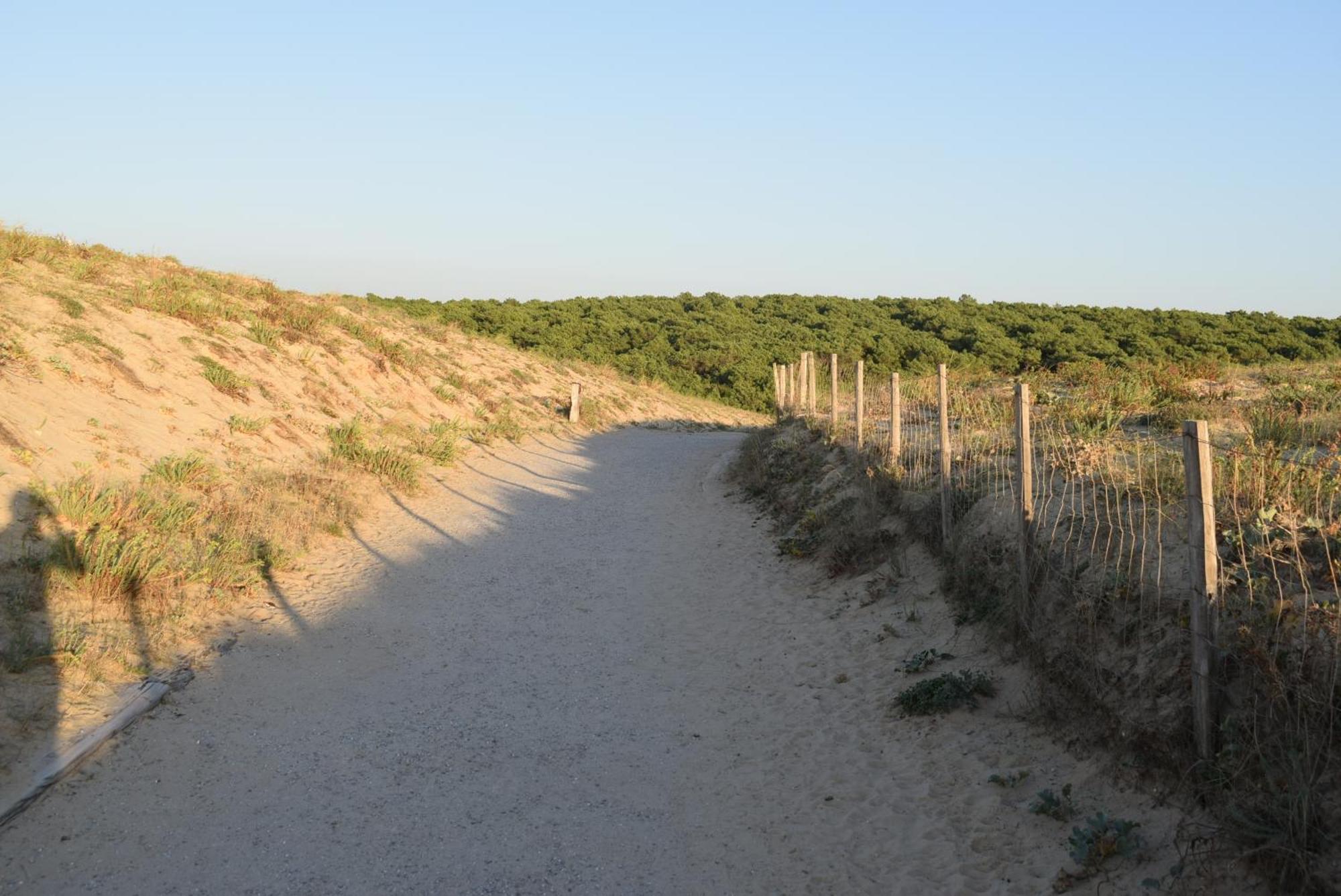Evasion Cotiere Tranquillite Entre Foret Et Ocean Vielle-Saint-Girons Exterior photo