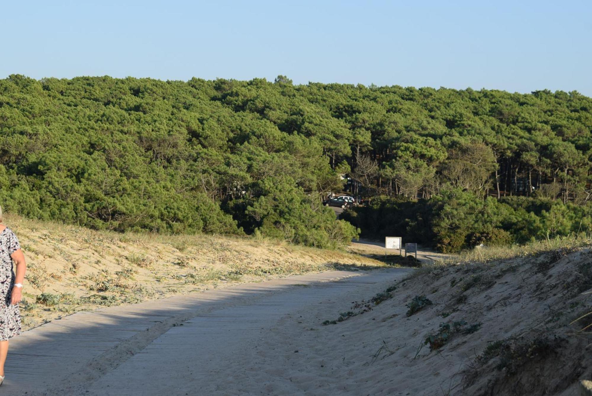 Evasion Cotiere Tranquillite Entre Foret Et Ocean Vielle-Saint-Girons Exterior photo