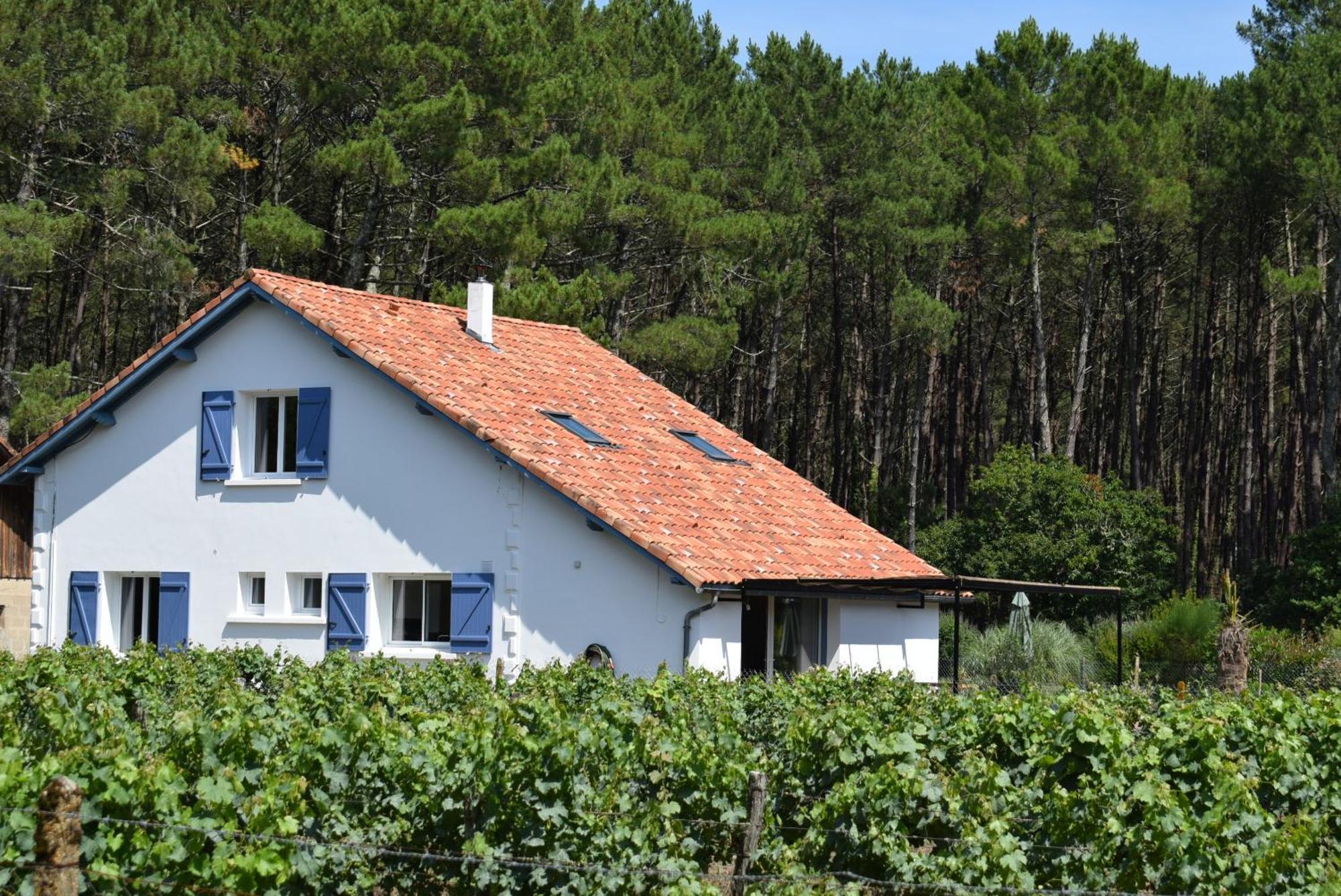 Evasion Cotiere Tranquillite Entre Foret Et Ocean Vielle-Saint-Girons Exterior photo